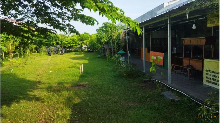 VIRAL! Tempat Healing Tersembunyi di Jogja1: Bisa Belajar Pijat Ajaib Hingga Masak Kuliner Legendaris!