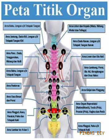 Mengenal Terapi Totok Punggung (Topung): Solusi Sehat Alami Jamaah
